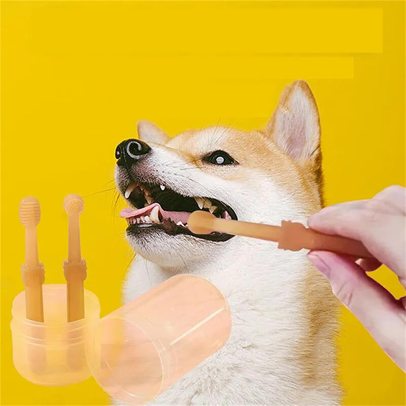 Pemutih Gigi Anjing Kucing Sik - Teeth Whitening Kit ulasan dan harga